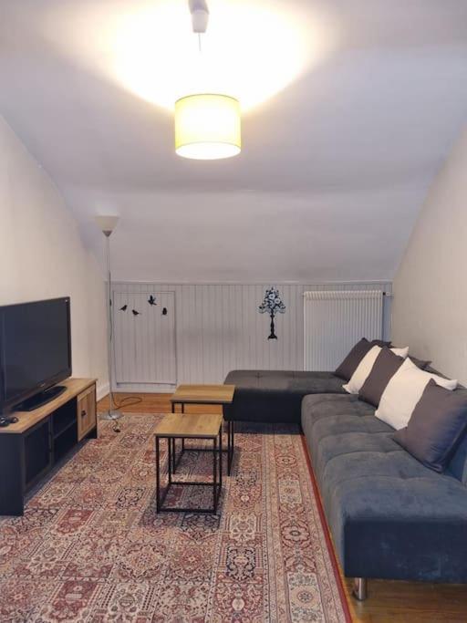 קולמר Appartement Centre-Ville מראה חיצוני תמונה