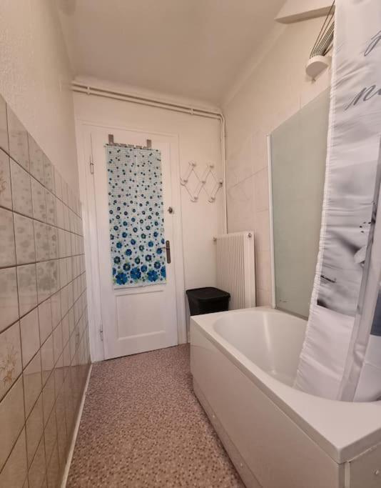 קולמר Appartement Centre-Ville מראה חיצוני תמונה
